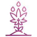 hlw_icon_01 hlw_icon_01
